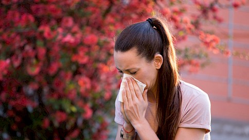 Allergie